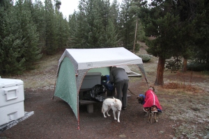 The pups and our eating shelter. Cedric is wearing 2 coats to keep him warm. Brrr!